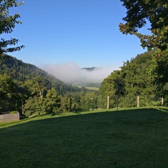 Ferienwohnung Schlosek In Der Nationalparkregion Kalkalpen Forstau  Экстерьер фото