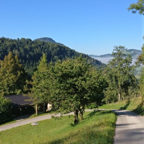 Ferienwohnung Schlosek In Der Nationalparkregion Kalkalpen Forstau  Экстерьер фото